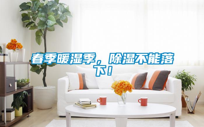 春季暖濕季，除濕不能落下！