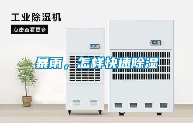 暴雨，怎樣快速除濕