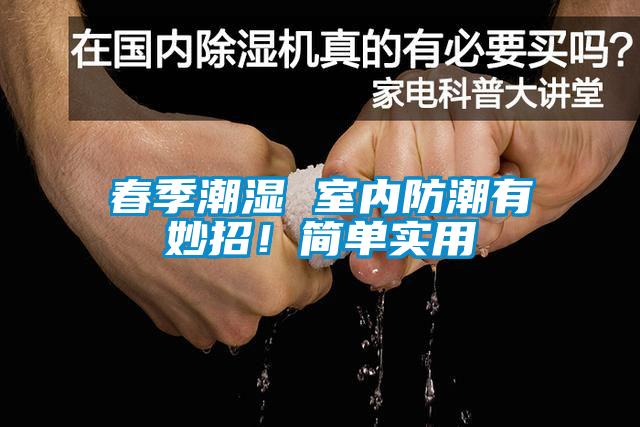 春季潮濕 室內(nèi)防潮有妙招！簡單實用