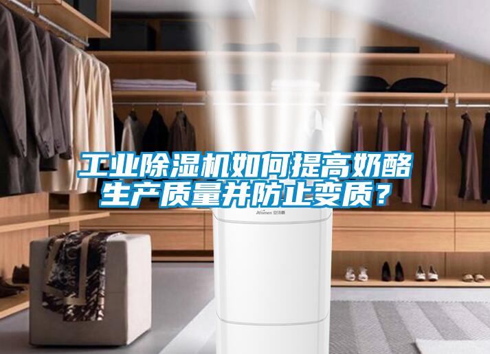 工業(yè)除濕機(jī)如何提高奶酪生產(chǎn)質(zhì)量并防止變質(zhì)？