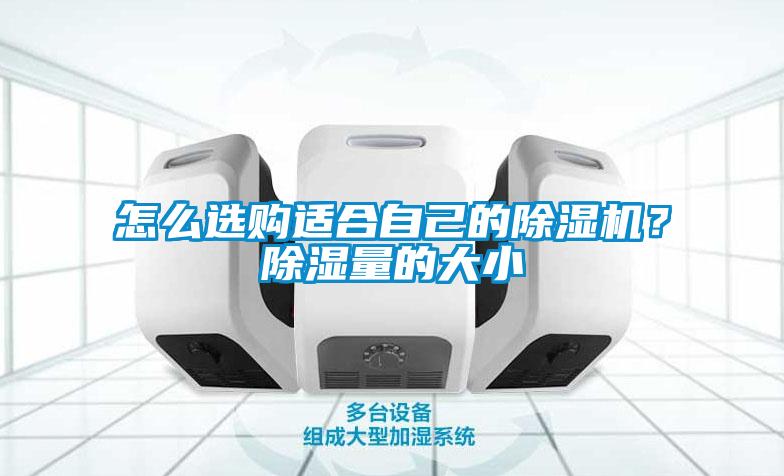 怎么選購(gòu)適合自己的除濕機(jī)？除濕量的大小