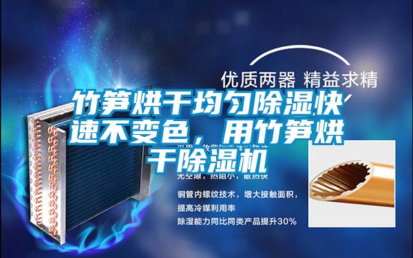 竹筍烘干均勻除濕快速不變色，用竹筍烘干除濕機
