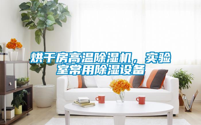 烘干房高溫除濕機(jī)，實(shí)驗(yàn)室常用除濕設(shè)備
