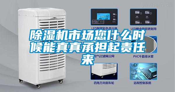 除濕機(jī)市場您什么時候能真真承擔(dān)起責(zé)任來