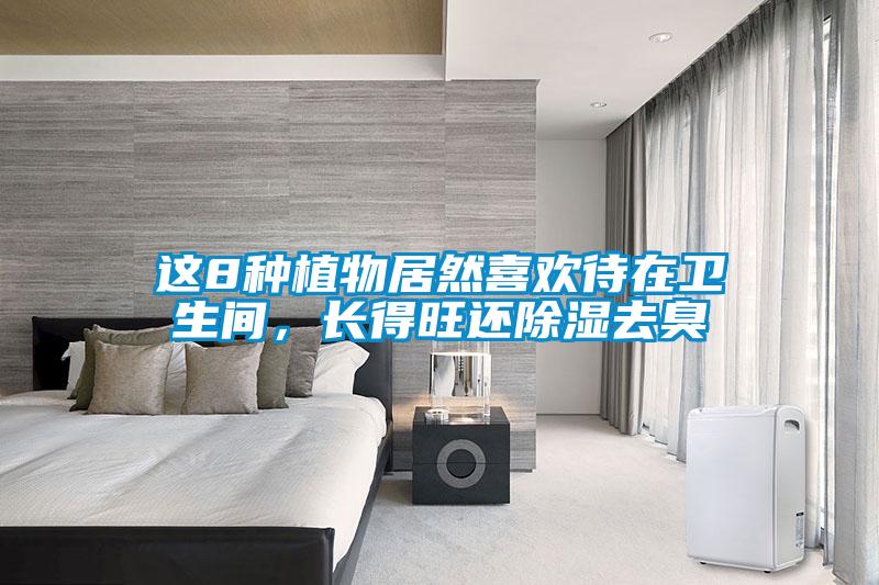這8種植物居然喜歡待在衛(wèi)生間，長得旺還除濕去臭