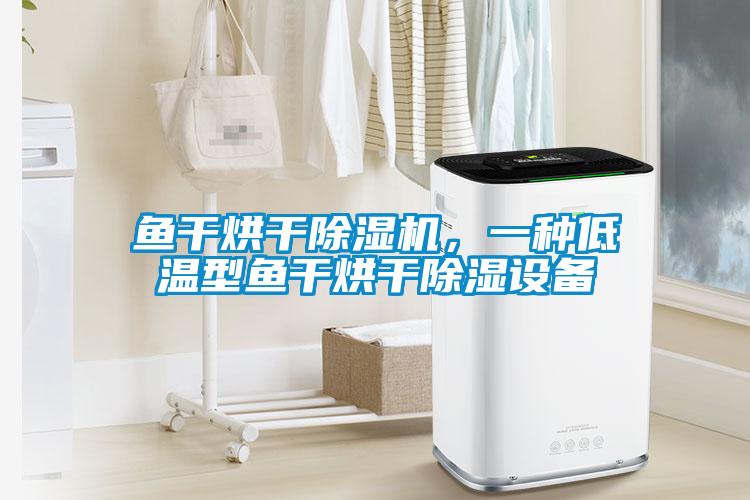 魚干烘干除濕機，一種低溫型魚干烘干除濕設備