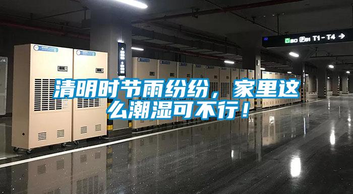 清明時(shí)節(jié)雨紛紛，家里這么潮濕可不行！