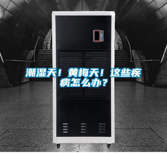 潮濕天！黃梅天！這些疾病怎么辦？