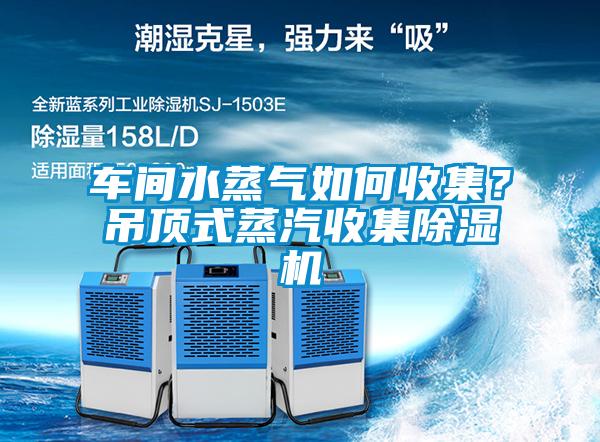 車間水蒸氣如何收集？吊頂式蒸汽收集除濕機(jī)