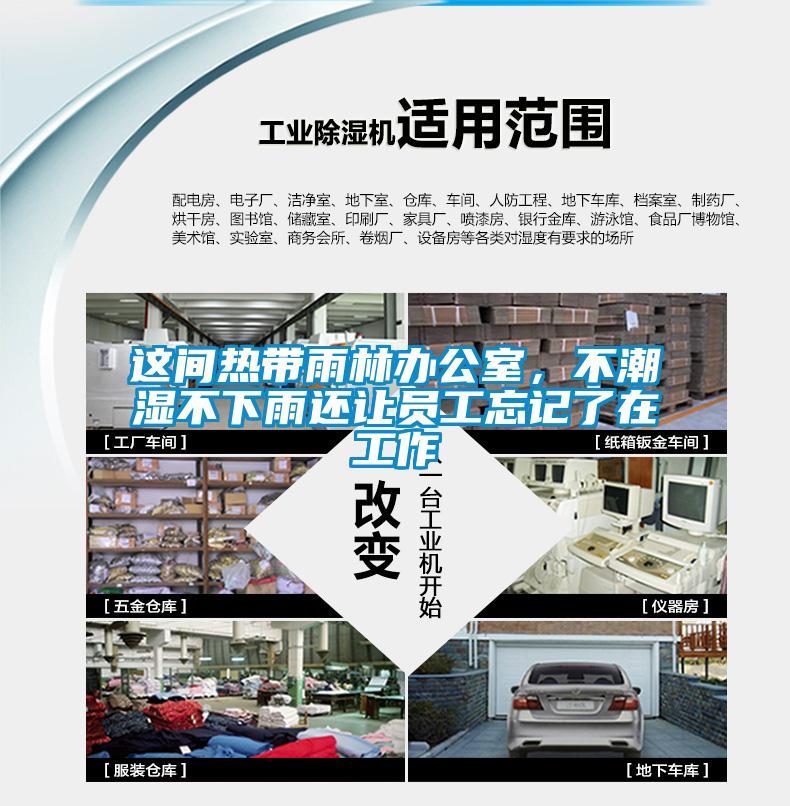 這間熱帶雨林辦公室，不潮濕不下雨還讓員工忘記了在工作