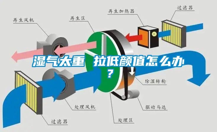 濕氣太重 拉低顏值怎么辦?