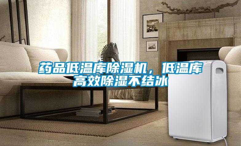 藥品低溫庫(kù)除濕機(jī)，低溫庫(kù)高效除濕不結(jié)冰