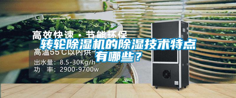 轉(zhuǎn)輪除濕機(jī)的除濕技術(shù)特點有哪些？