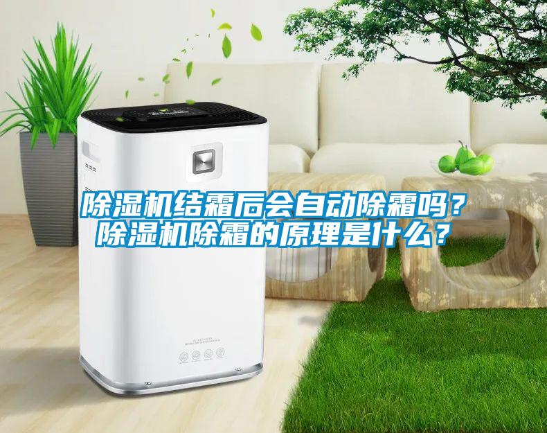 除濕機(jī)結(jié)霜后會自動除霜嗎？除濕機(jī)除霜的原理是什么？