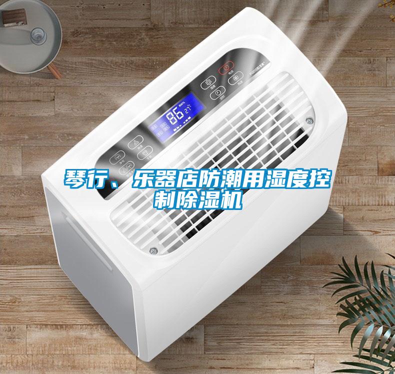 琴行、樂(lè)器店防潮用濕度控制除濕機(jī)