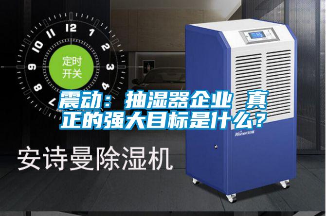 震動：抽濕器企業(yè) 真正的強大目標(biāo)是什么？