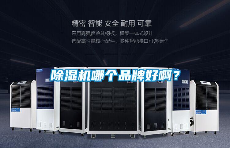 除濕機(jī)哪個(gè)品牌好?。?></div>
								<div   id=