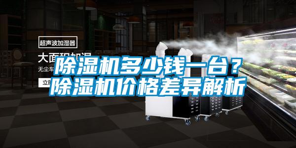 除濕機多少錢一臺？除濕機價格差異解析