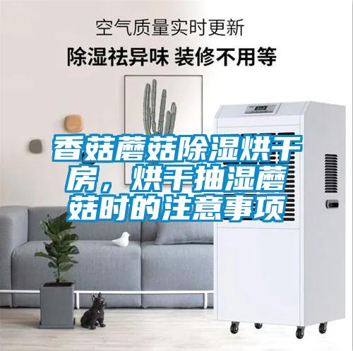 香菇蘑菇除濕烘干房，烘干抽濕蘑菇時的注意事項(xiàng)