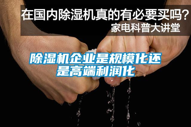 除濕機(jī)企業(yè)是規(guī)?；€是高端利潤(rùn)化