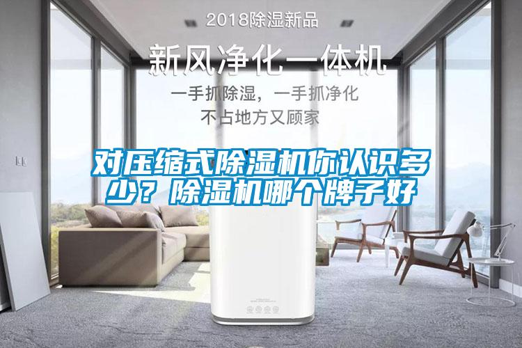 對(duì)壓縮式除濕機(jī)你認(rèn)識(shí)多少？除濕機(jī)哪個(gè)牌子好