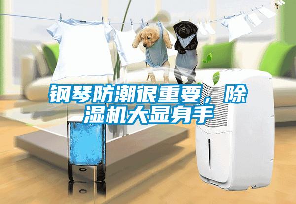 鋼琴防潮很重要，除濕機(jī)大顯身手