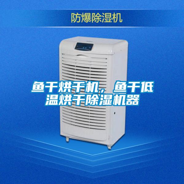 魚干烘干機(jī)，魚干低溫烘干除濕機(jī)器