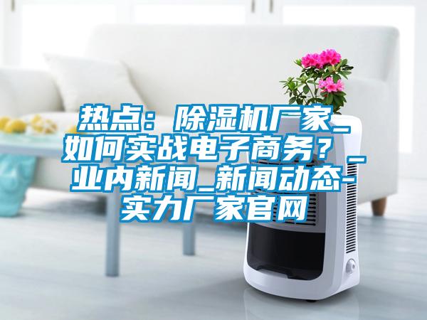 熱點(diǎn)：除濕機(jī)廠家_如何實(shí)戰(zhàn)電子商務(wù)？_業(yè)內(nèi)新聞_新聞動(dòng)態(tài)-實(shí)力廠家官網(wǎng)