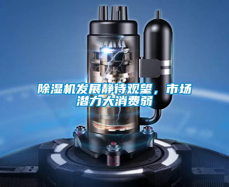 除濕機(jī)發(fā)展靜待觀望，市場(chǎng)潛力大消費(fèi)弱