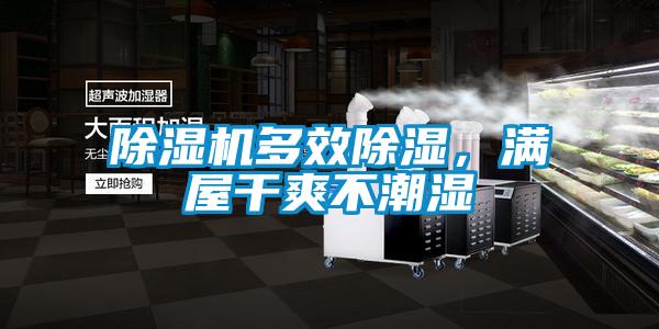 除濕機(jī)多效除濕，滿(mǎn)屋干爽不潮濕