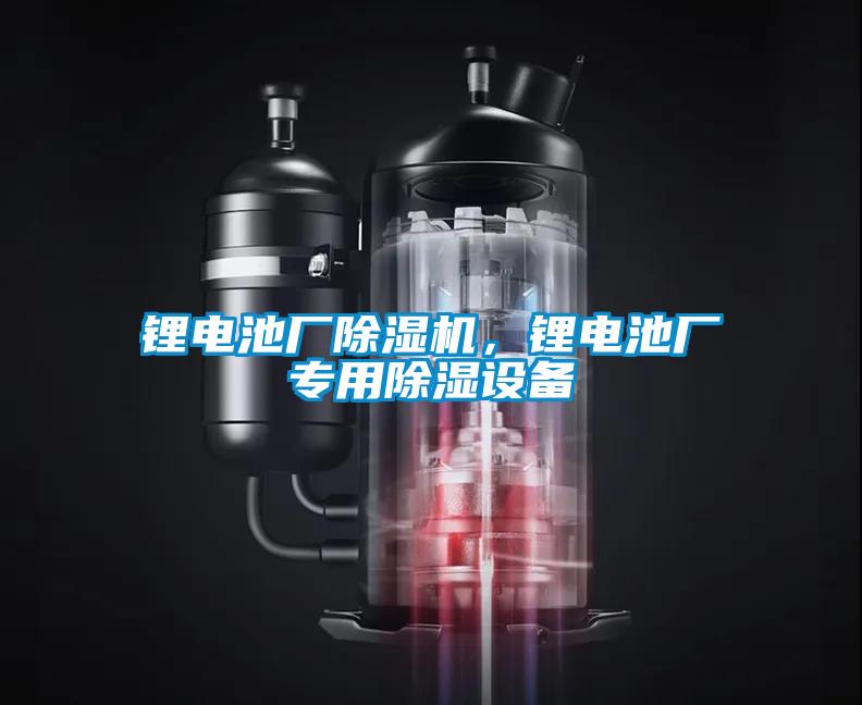 鋰電池廠除濕機(jī)，鋰電池廠專用除濕設(shè)備