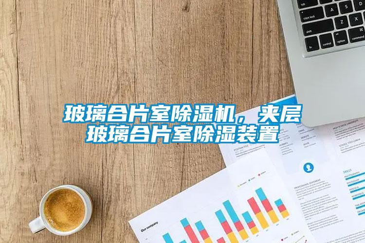玻璃合片室除濕機(jī)，夾層玻璃合片室除濕裝置