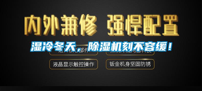 濕冷冬天，除濕機刻不容緩！