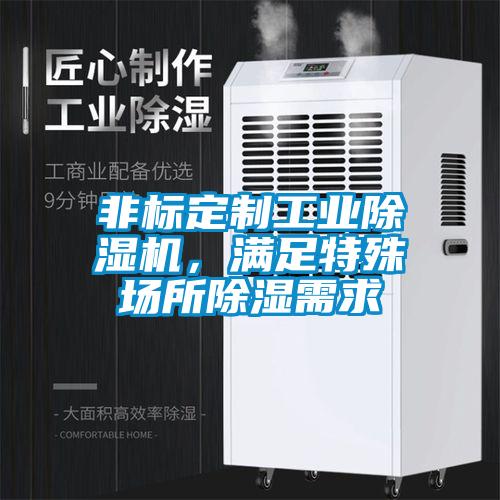 非標(biāo)定制工業(yè)除濕機(jī)，滿足特殊場所除濕需求