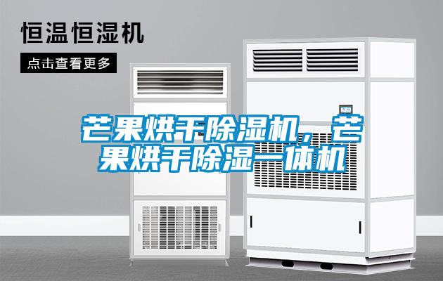 芒果烘干除濕機，芒果烘干除濕一體機