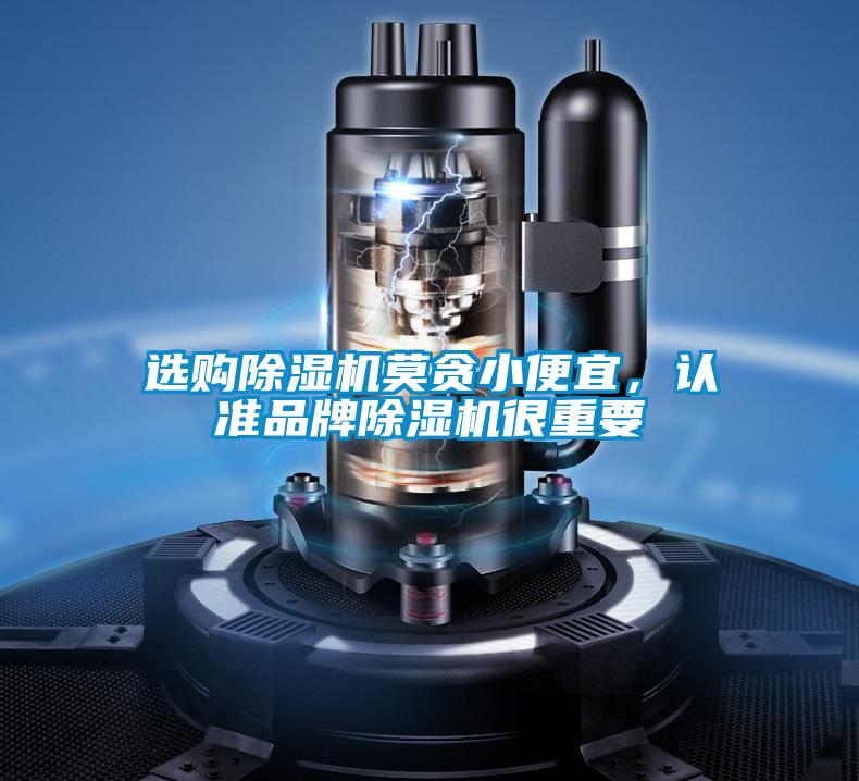 選購(gòu)除濕機(jī)莫貪小便宜，認(rèn)準(zhǔn)品牌除濕機(jī)很重要