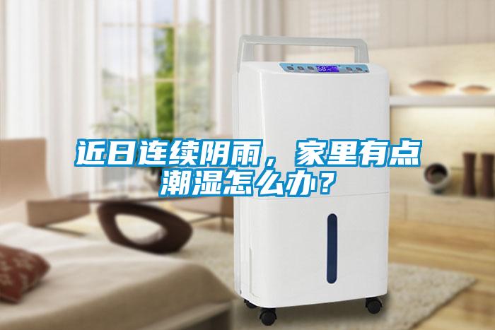 近日連續(xù)陰雨，家里有點(diǎn)潮濕怎么辦？