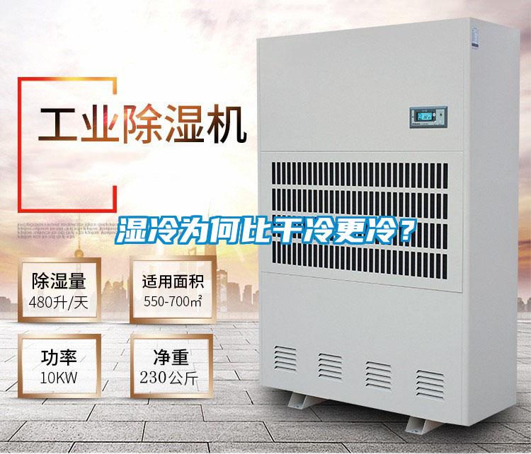 濕冷為何比干冷更冷？