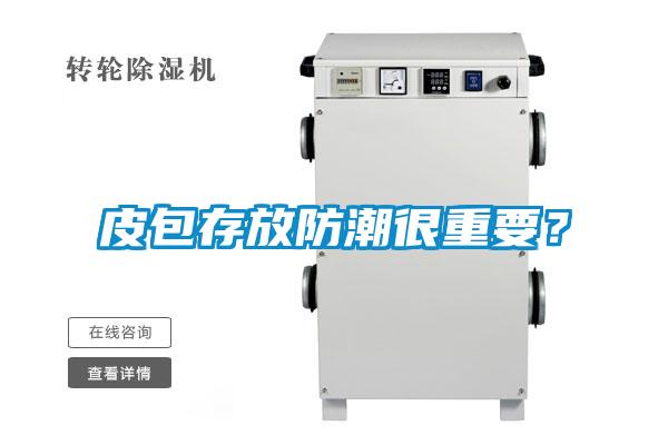 皮包存放防潮很重要？