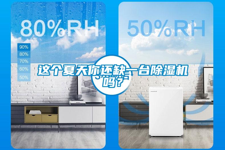 這個夏天你還缺一臺除濕機嗎？