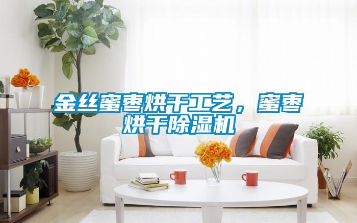 金絲蜜棗烘干工藝，蜜棗烘干除濕機