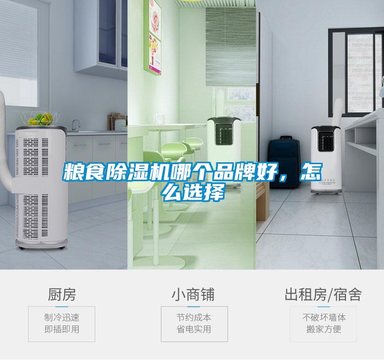 糧食除濕機(jī)哪個(gè)品牌好，怎么選擇