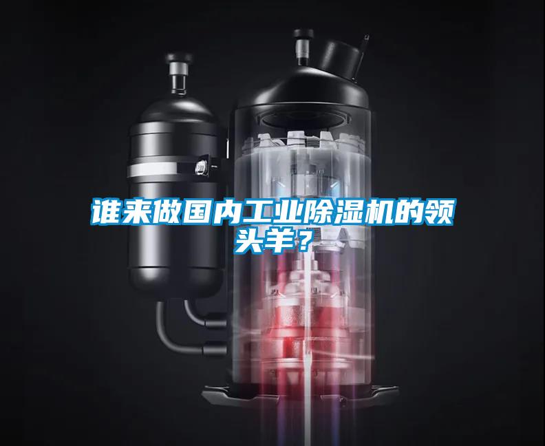 誰(shuí)來做國(guó)內(nèi)工業(yè)除濕機(jī)的領(lǐng)頭羊？