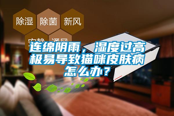 連綿陰雨，濕度過(guò)高極易導(dǎo)致貓咪皮膚病怎么辦？