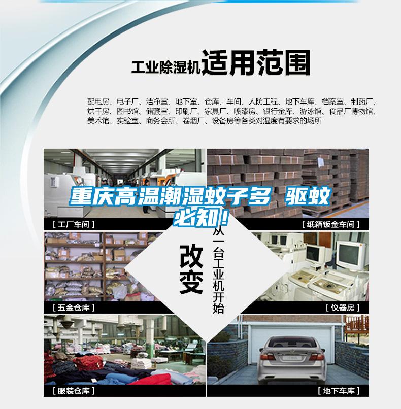 重慶高溫潮濕蚊子多 驅(qū)蚊必知！