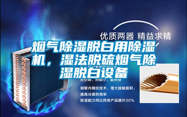 煙氣除濕脫白用除濕機(jī)，濕法脫硫煙氣除濕脫白設(shè)備
