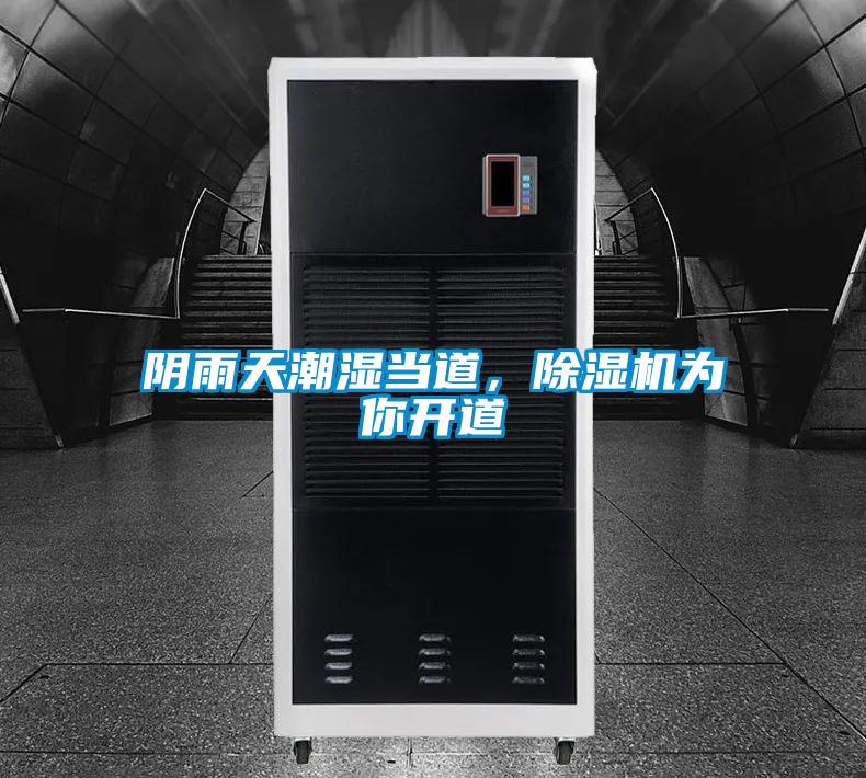 陰雨天潮濕當(dāng)?shù)?，除濕機為你開道