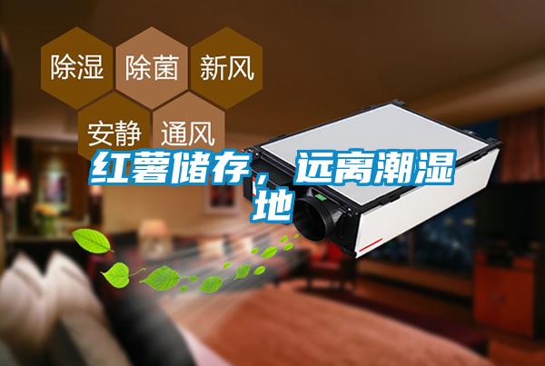 紅薯儲(chǔ)存，遠(yuǎn)離潮濕地