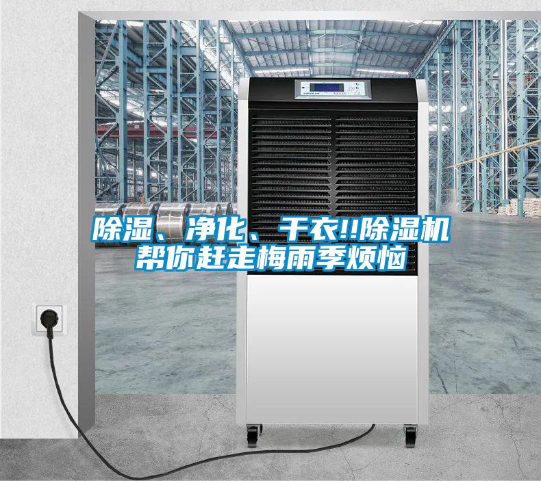 除濕、凈化、干衣!!除濕機幫你趕走梅雨季煩惱