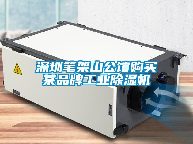 深圳筆架山公館購(gòu)買(mǎi)某品牌工業(yè)除濕機(jī)